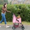 4 Wheels Pet Stroller Foldable Carrier Strolling Cart Travel Jogger Pet Stroller with Removable Liner Storage Basket for Dog