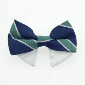 Universal Dog Bow Tie - Navy Blue and Green Stripe (Option: Type 1)