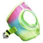 American River Choke Free Dog Harness Ombre Collection - Rainbow (Option: X-Small)