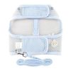 Cool Mesh Dog Harness with Leash - Blue Daisy