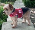 Cool Mesh Dog Harness with Leash - Hawaiian Hibiscus Red