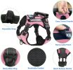 Pet Harness And Leash Set For Dog Adjustable No Pull Service Dog Vest Harness For Walking