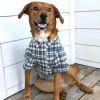 Flannel Dog Shirt - Gray and Blue Plaid