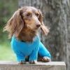 Sweet Dreams Thermal Dog Pajamas - Blue